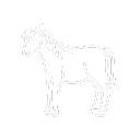Horse Icon