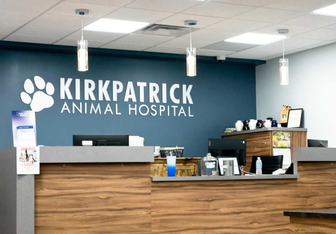 Kirkpatrick Animal Hospital Reception Area